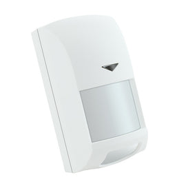 Security Alarm System Detector