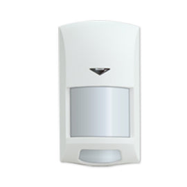 Security Alarm System Detector
